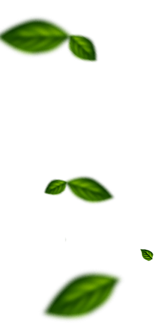 Frutas