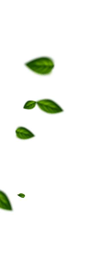Frutas