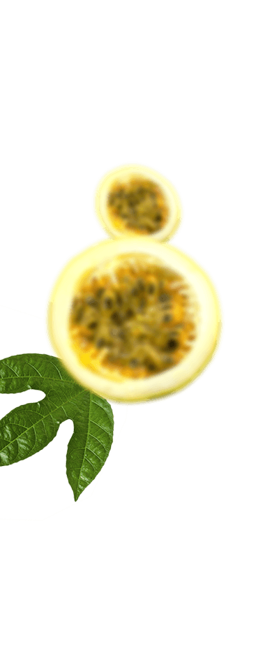 Frutas