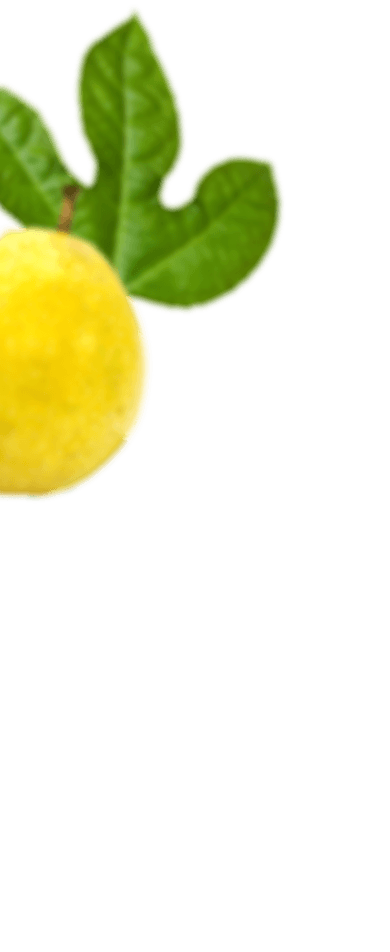 Frutas