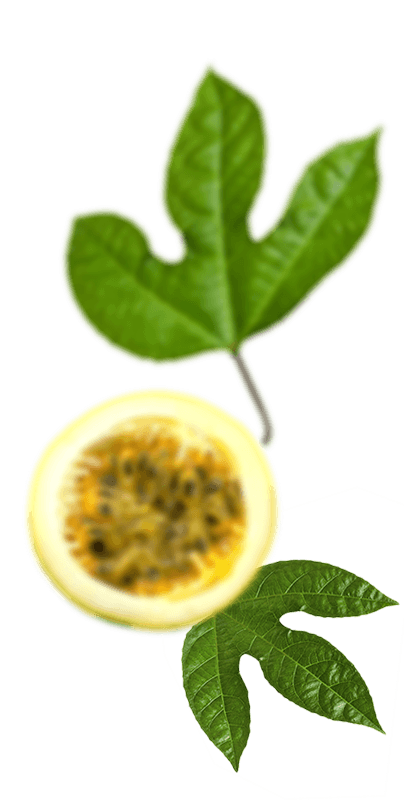 Frutas
