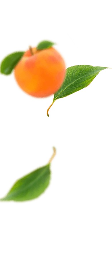 Frutas