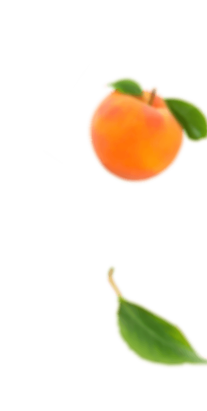 Frutas