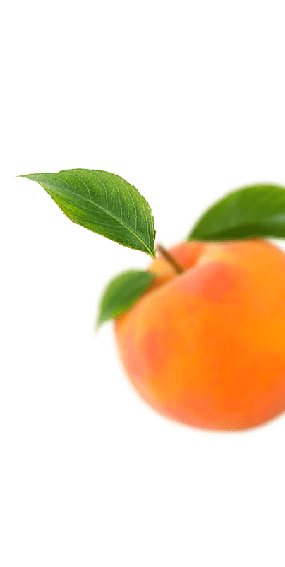 Frutas