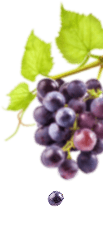 Frutas