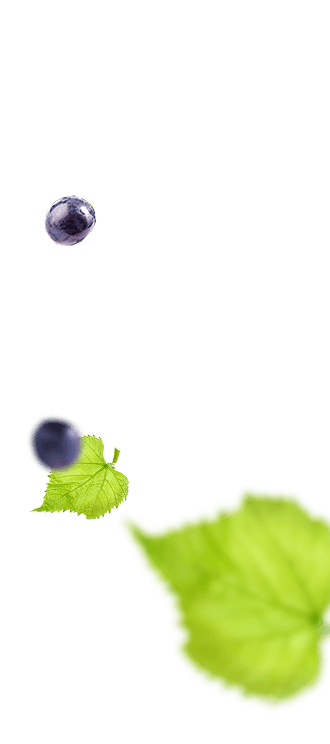 Frutas