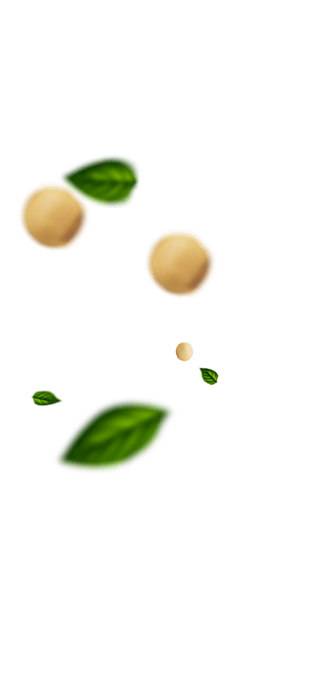 Frutas