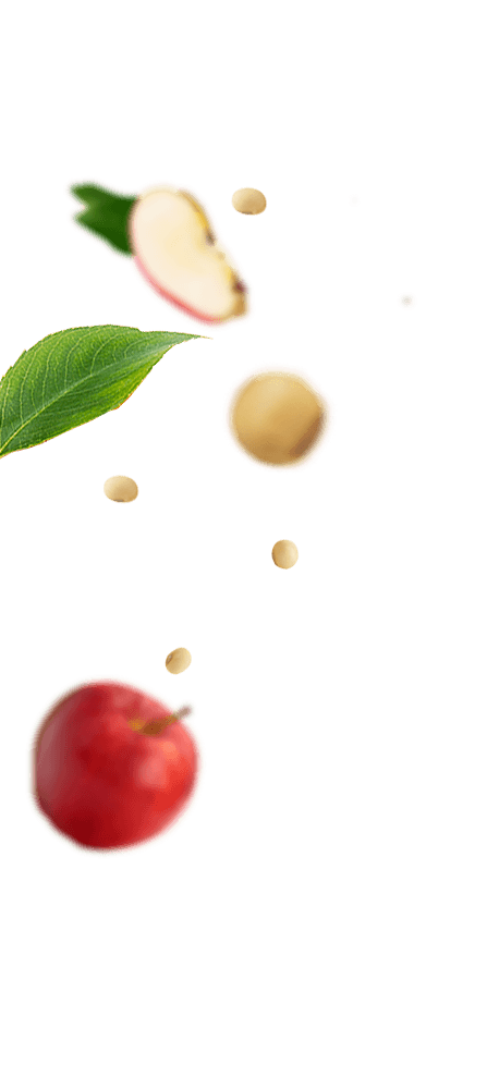 Frutas