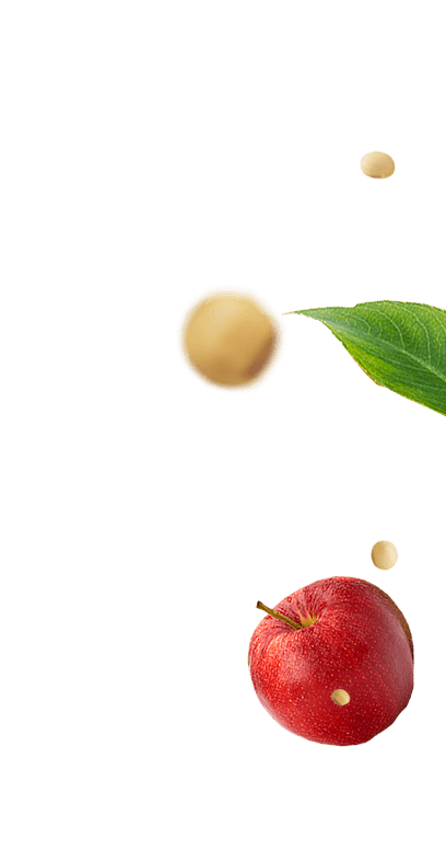 Frutas