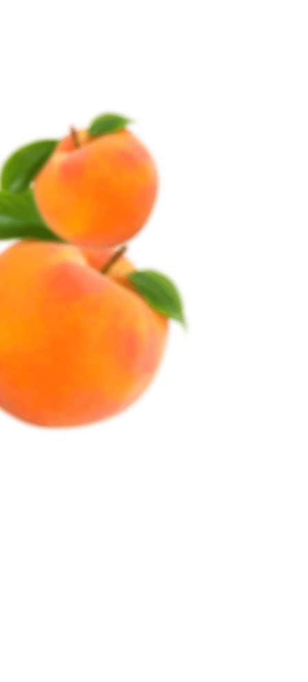Frutas