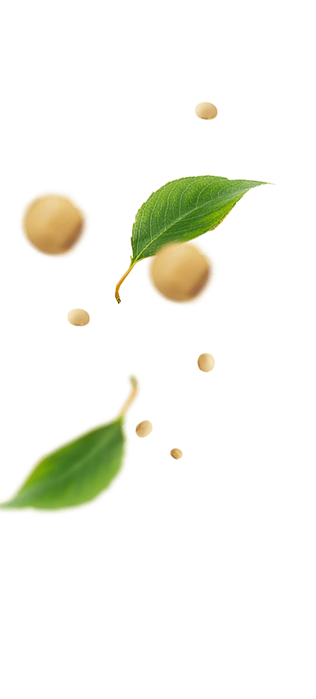 Frutas