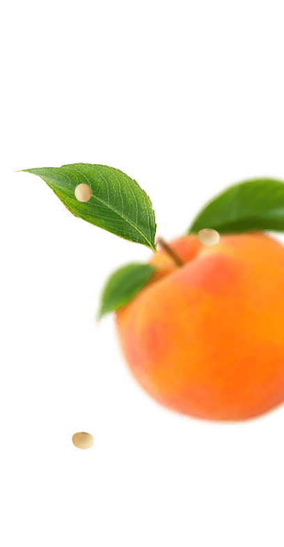 Frutas