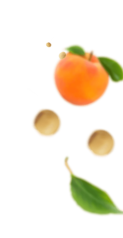Frutas