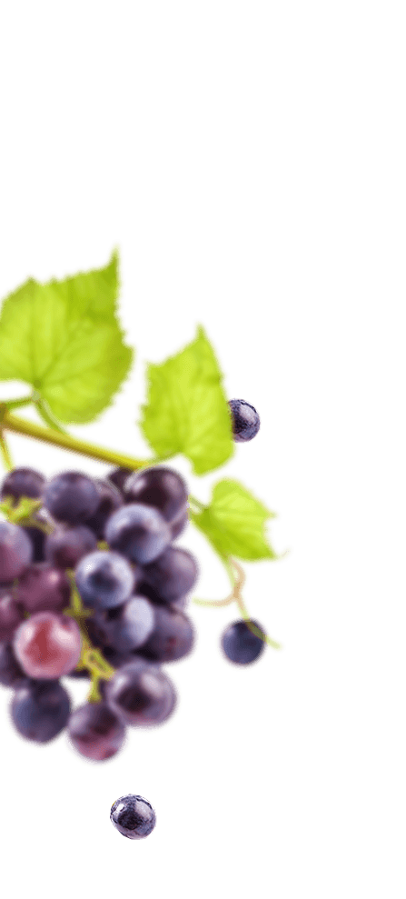 Frutas