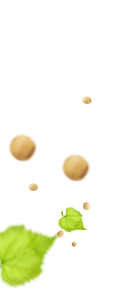 Frutas