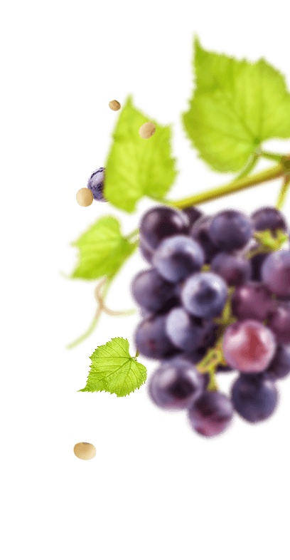 Frutas