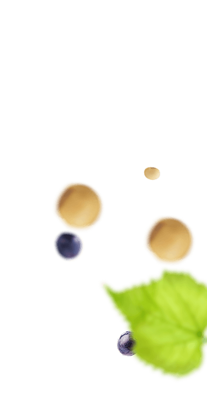 Frutas